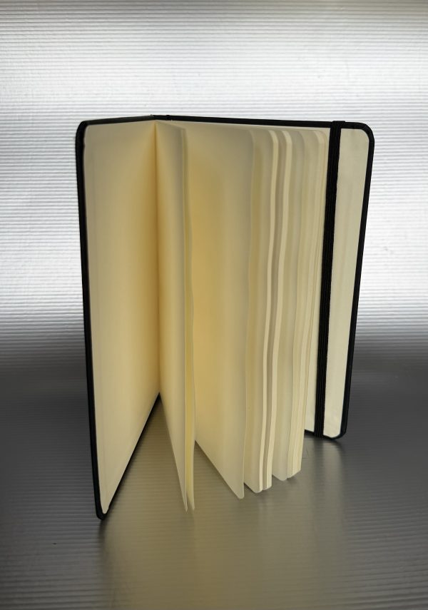 IMG_1548 <b>Carnet A5</b> / œuvre unique /